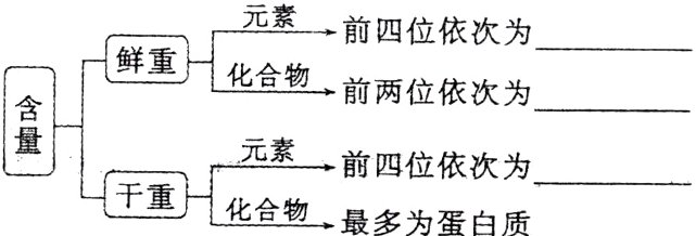前四位依次为干重化合物最多为蛋白质
