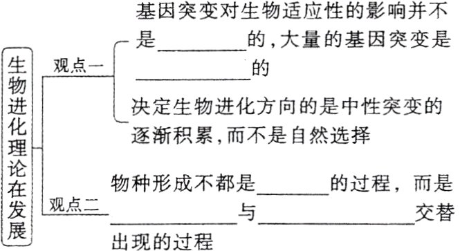 观点二交替出现的过程