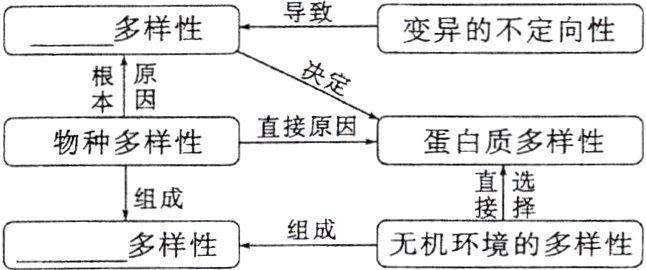 多样性组成无机环境的多样性
