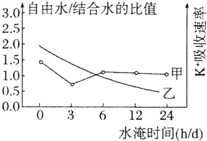 0361224水淹时间hd