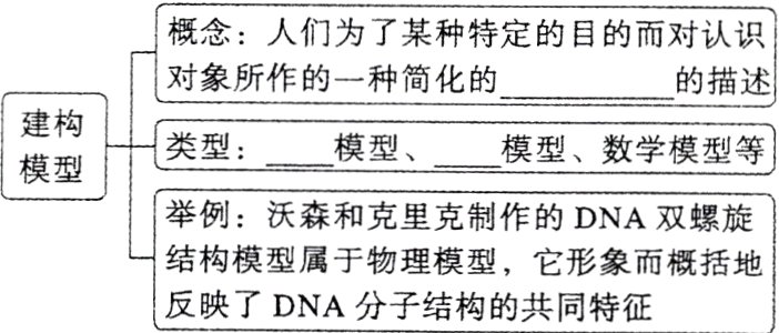 结构模型属于物理模型它形象而概括地反映了DNA分子结构的共同特征