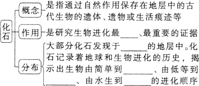 分布示出生物由简单到由低等到由水生到的进化顺序