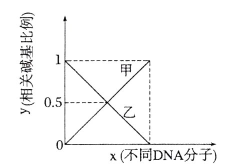 x不同DNA分子
