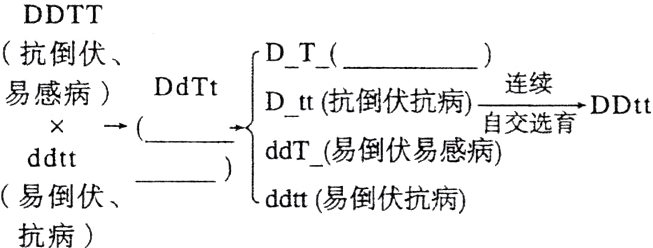 易倒伏ddtt易倒伏抗病抗病