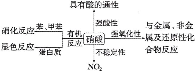 蛋白质不稳定性NO2