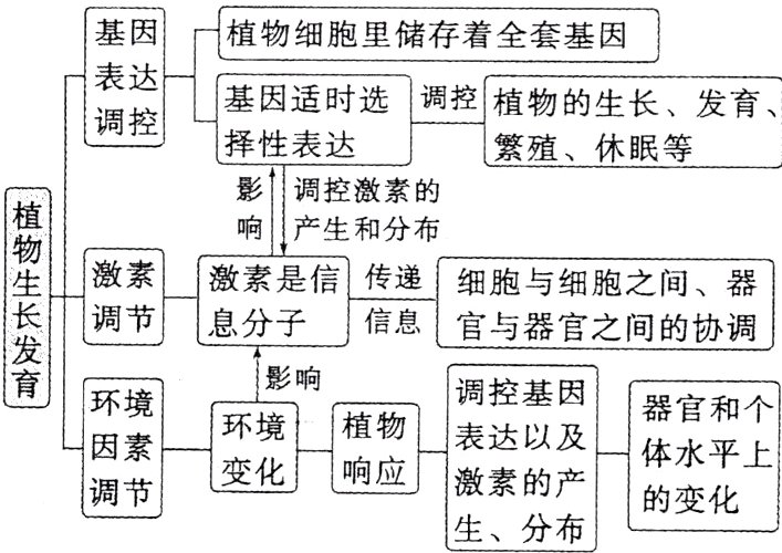 调节的变化生分布
