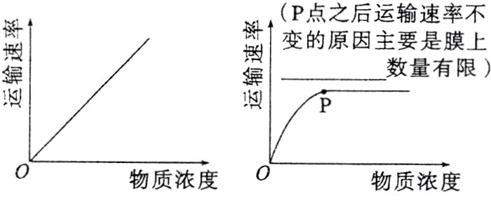 物质浓度物质浓度