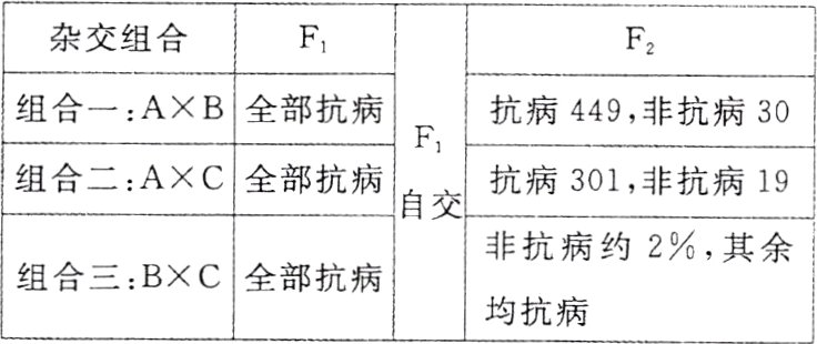 组合三BXC全部抗病均抗病