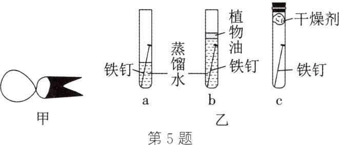 第5题