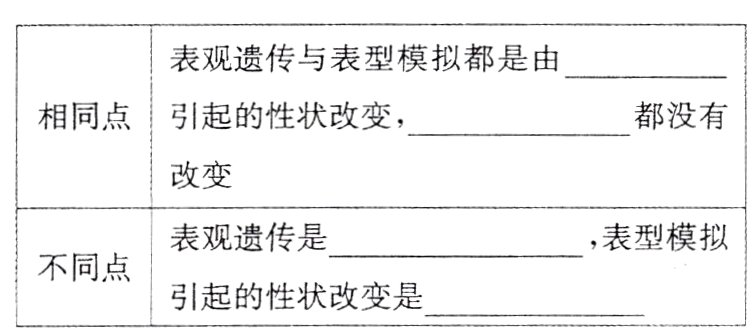 不同点引起的性状改变是