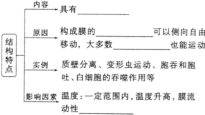 影响因素温度一定范围内温度升高膜流动性