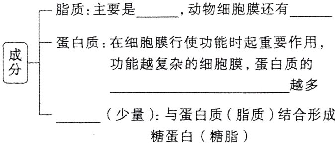 少量与蛋白质脂质结合形成糖蛋白糖脂