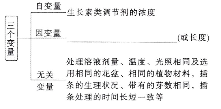 条处理的时间长短一致等
