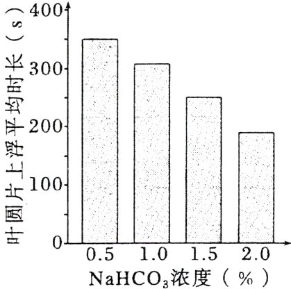 叶005101520NaHCO3浓度