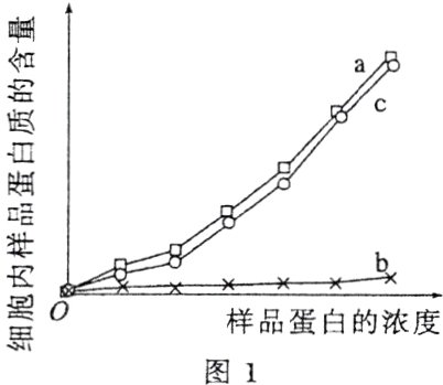 样品蛋白的浓度图1
