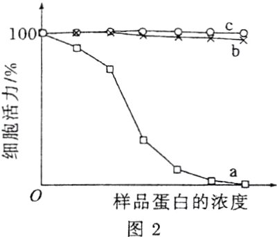 样品蛋白的浓度图2