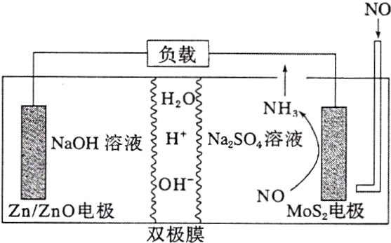 NOM以S电极ZnznO电极双极膜