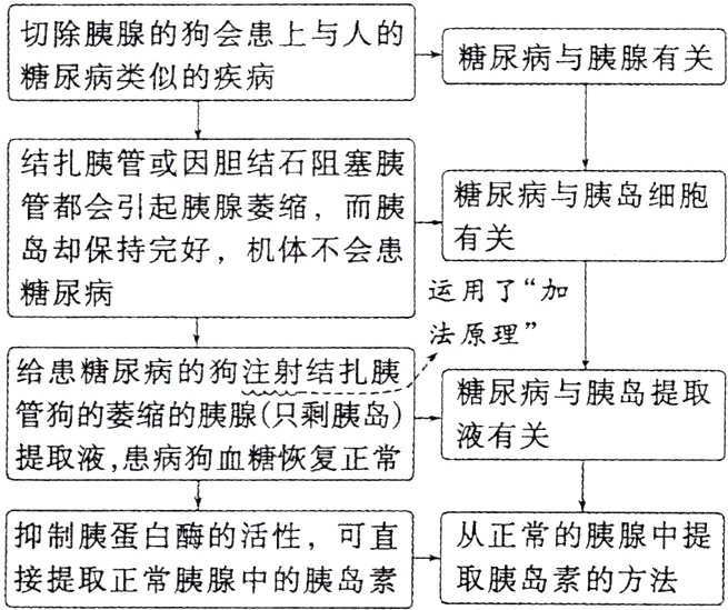 抑制胰蛋白酶的活性可直从正常的胰腺中提接提取正常胰腺中的胰岛素取胰岛素的方法