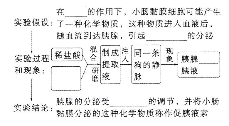 实验结论黏膜分泌的这种化学物质称作促胰液素