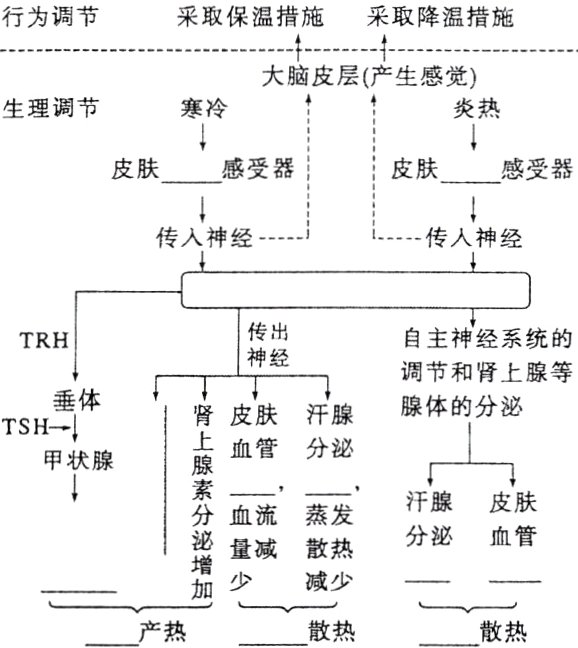 减少产热一散热一散热