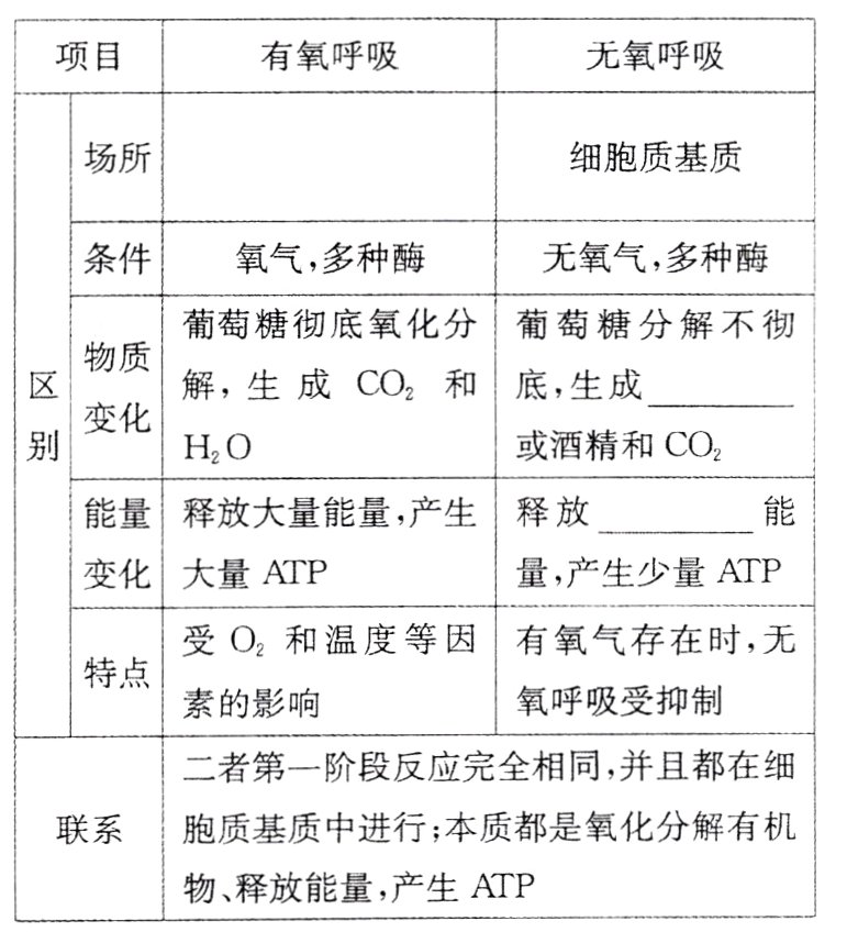 物释放能量产生ATP