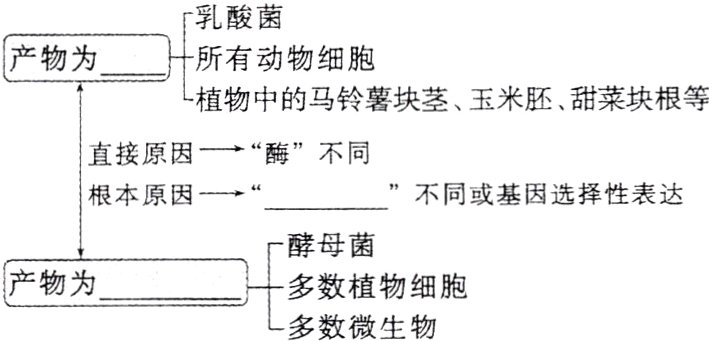 产物为多数植物细胞多数微生物