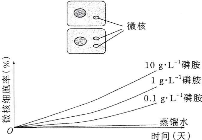 微蒸馏水时间天