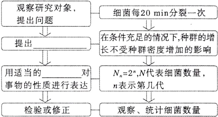 检验或修正观察统计细菌数量