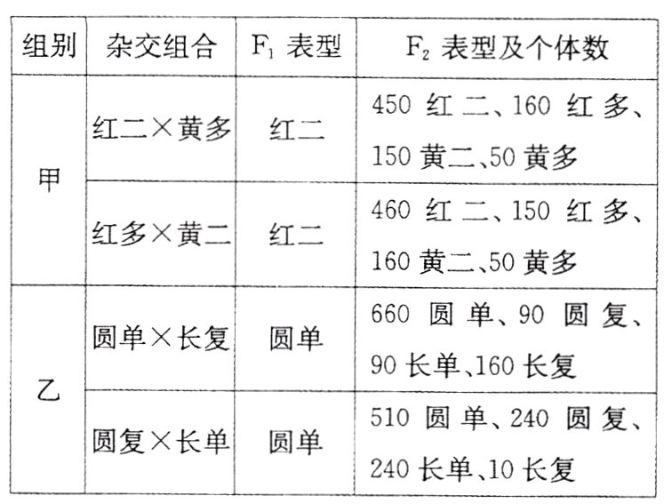 240长单10长复
