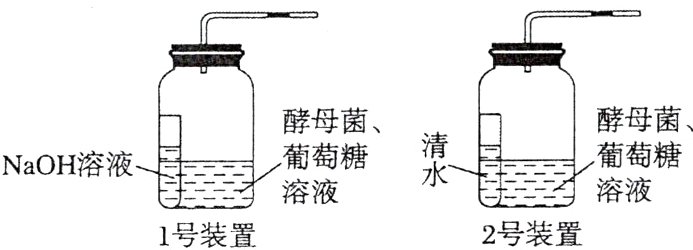2号装置1号装置