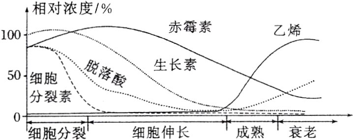 0卡成熟衰老细胞伸长细胞分裂