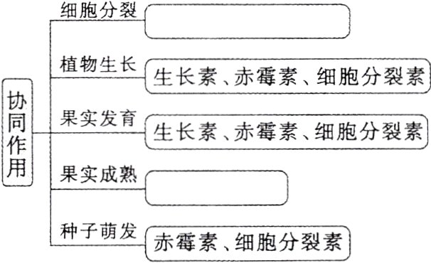 种子萌发赤霉素细胞分裂素