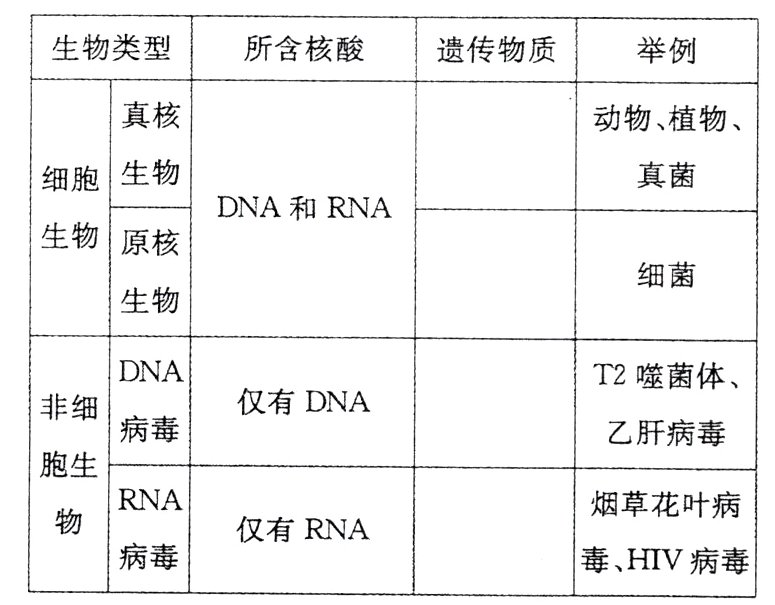 病毒毒HIV病毒