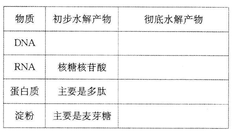 淀粉主要是麦芽糖