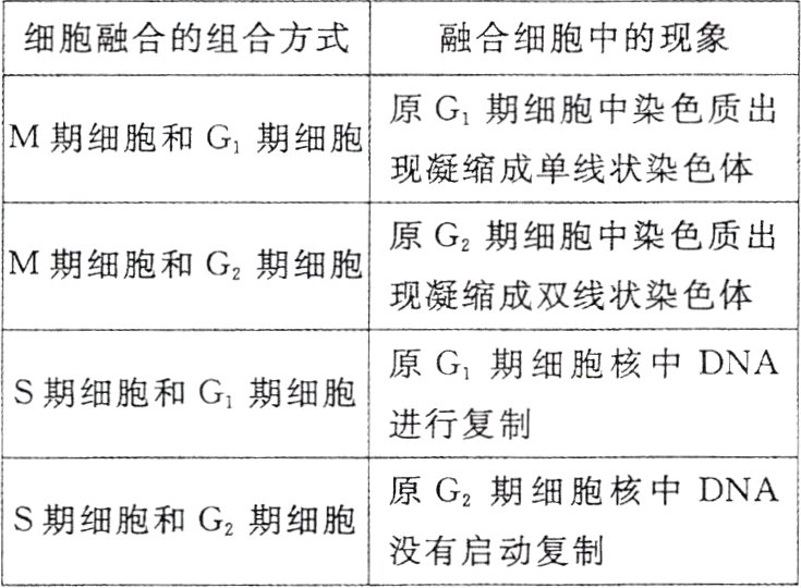 S期细胞和G2期细胞没有启动复制
