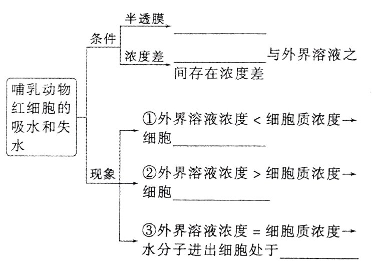 外界溶液浓度细胞质浓度水分子进出细胞处于