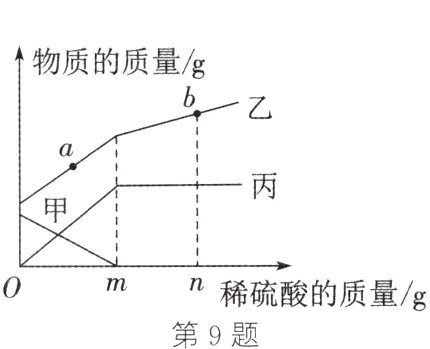 mn稀硫酸的质量g第9题