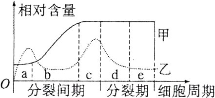 分裂间期分裂期细胞周期