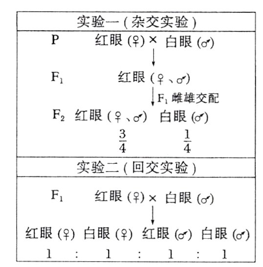 红眼白眼红眼白眼1111