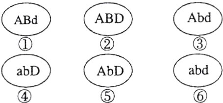 在三对同源染DAD