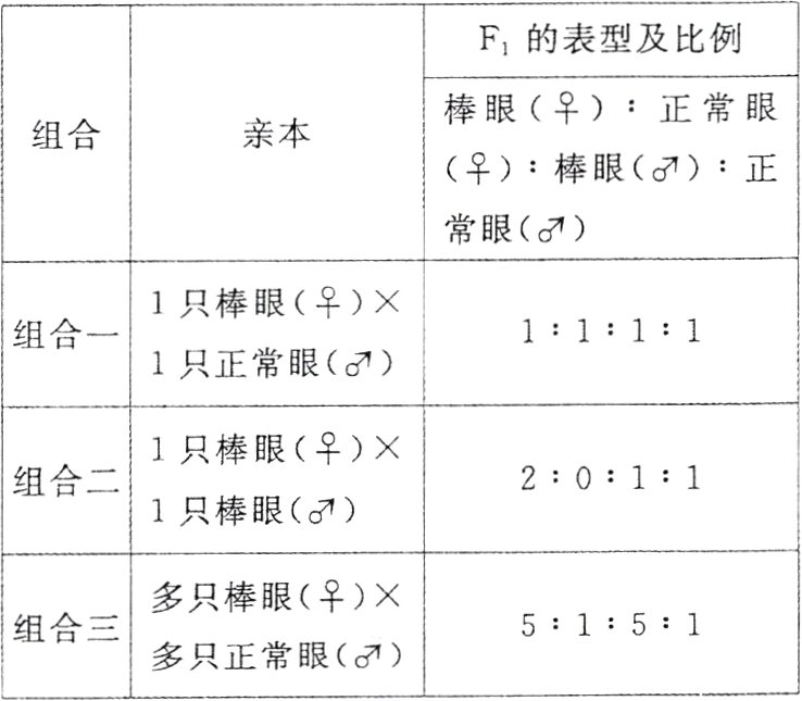 组合三多只正常眼