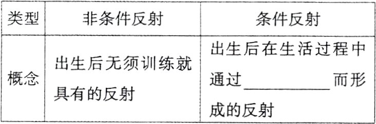 具有的反射成的反射