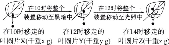 在10时移走的在12时移走的在14时移走的