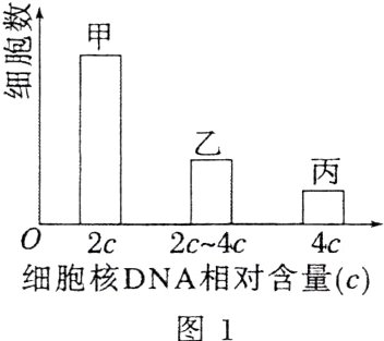 细胞核DNA相对含量c图1