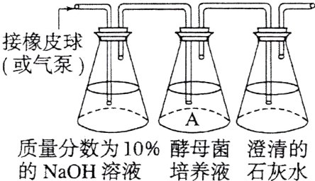 质量分数为10酵母菌澄清的的NaOH溶液培养液石灰水