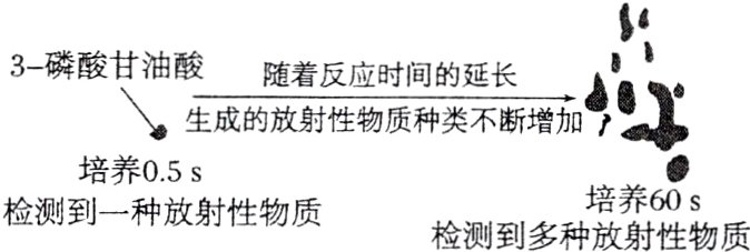 培养60sS检测到一种放射性物质检测到多种放射性物质