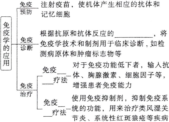 用来治疗类风湿关一疗法一统的功能节炎系统性红斑狼疮等疾病