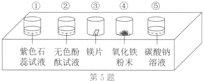 蕊试液酞试液粉末溶液第5题