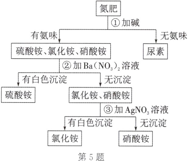 第5题