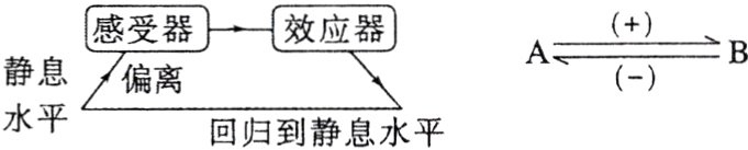 偏离水平回归到静息水平